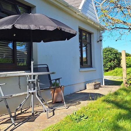 Y Cuddfan Gower Bed & Breakfast Суонзи Екстериор снимка