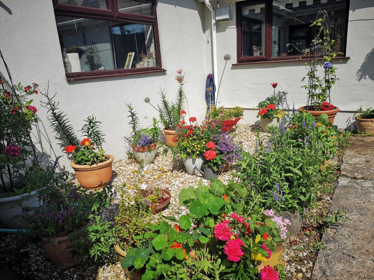 Y Cuddfan Gower Bed & Breakfast Суонзи Екстериор снимка