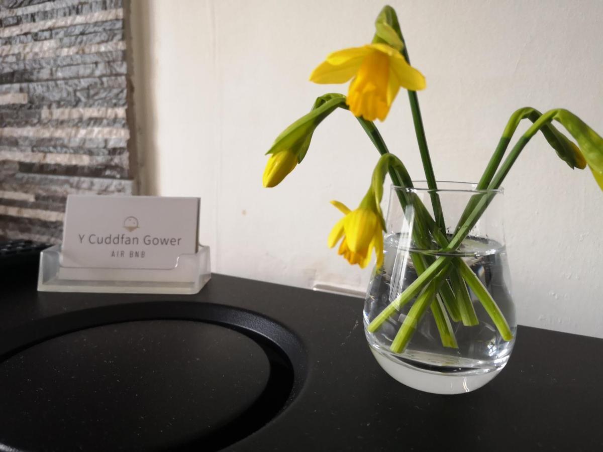 Y Cuddfan Gower Bed & Breakfast Суонзи Екстериор снимка